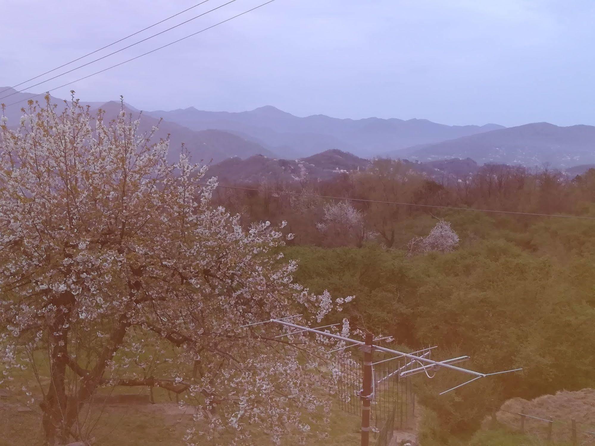 Locanda Primo Sole Leivi Екстериор снимка